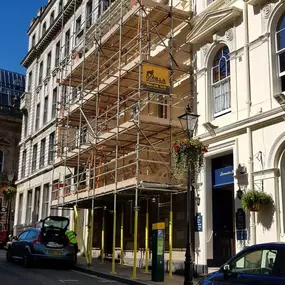 Bild von Gorilla Scaffolding