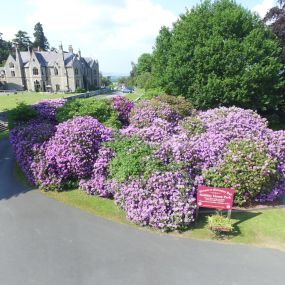 Bild von Mellington Hall Country House Hotel & Holiday Home Park