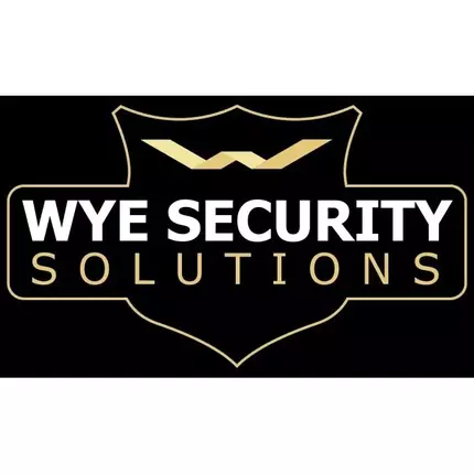 Logo da Wye Security Solutions