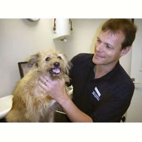 Bild von St Vincents Veterinary Surgery