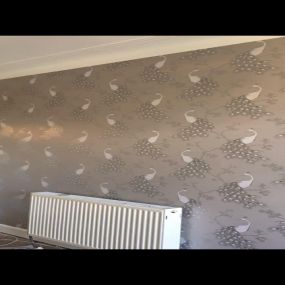 Bild von Broomhill Painters & Decorators