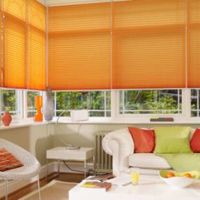 Bild von Penrhyn Blinds