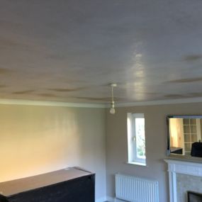 Bild von Essential Plastering Services