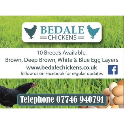 Logo van Bedale Chickens