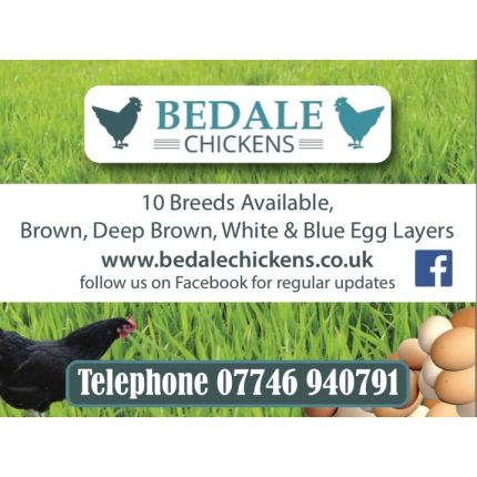 Logo von Bedale Chickens