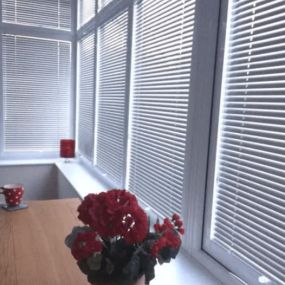 Bild von New Home Blinds