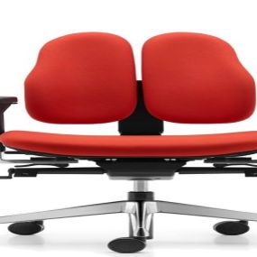 Bild von Shape Posture Seating