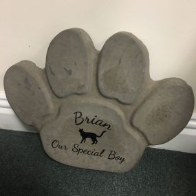 Bild von Rainbow Bridge Pet Cremations Ltd