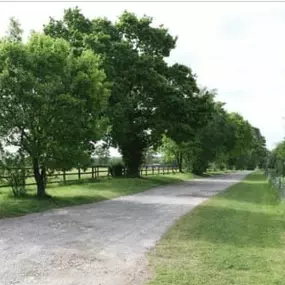 Bild von New Park Farm Equitation