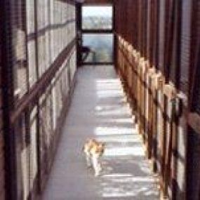 Bild von Kithill Boarding Cattery