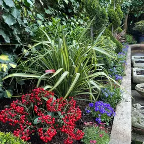 Bild von City Landscapes Master Gardeners