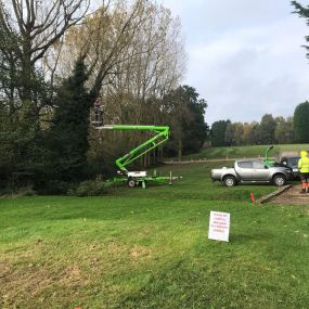 Bild von JC Tree & Grounds Maintenance