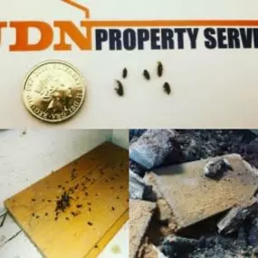 Bild von JDN Property Services Ltd