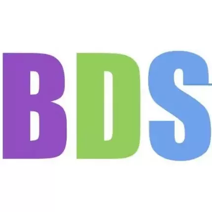 Logo da BDS Consultants