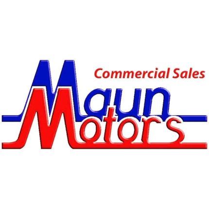 Logo from Maun Motors Self Drive