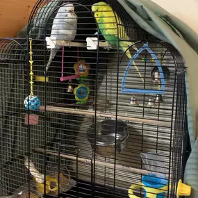 Bild von Mrs Doolittles Pet Care (Bobbytails Small Animal Boarding)