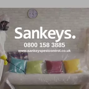 Bild von Sankeys Pest Control