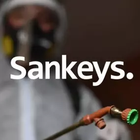 Bild von Sankeys Pest Control