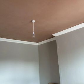 Bild von ML Plastering Services