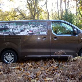 Bild von Tree & Woodland Services