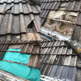 Bild von Aqua Power Washing
