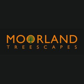 Bild von Moorland Treescapes