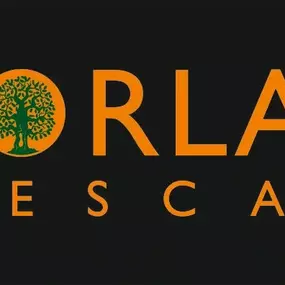 Bild von Moorland Treescapes