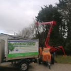 Bild von Clear View Tree & Hedge Services Ltd