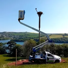 Bild von Clear View Tree & Hedge Services Ltd