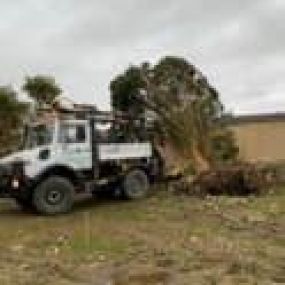 Bild von Gwasanaethau Coed Tomos Pierce Tree Services