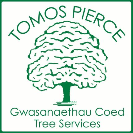 Logo da Gwasanaethau Coed Tomos Pierce Tree Services