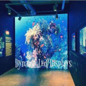 Bild von Dynamo Led Displays