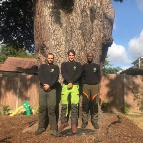 Bild von Liam McGough Tree Services