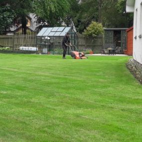 Bild von Tayside Lawn Care Solutions