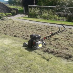 Bild von Tayside Lawn Care Solutions