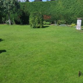 Bild von Tayside Lawn Care Solutions