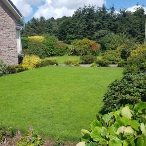 Bild von Tayside Lawn Care Solutions