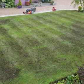 Bild von Tayside Lawn Care Solutions