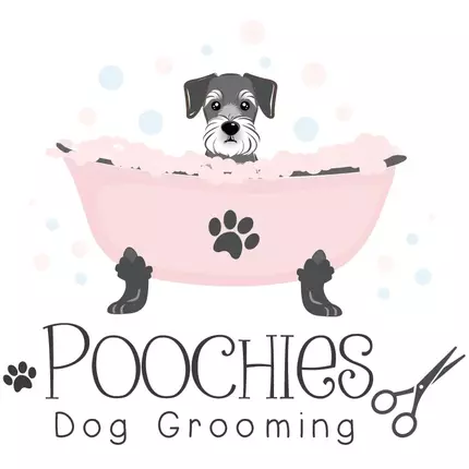 Logotyp från Poochies Dog Grooming Mold