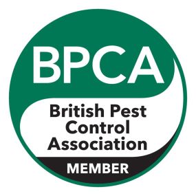 Bild von John O'Conner Pest Control