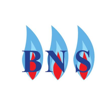 Logo from B N S Heating Spares Ltd