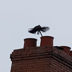 Bild von Tyneside Chimney Sweep