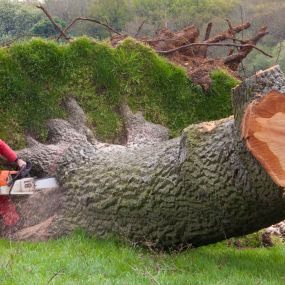 Bild von Boward Tree Surgery (Oxford) Ltd