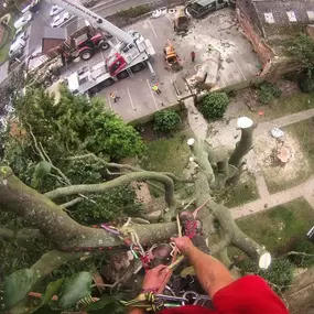 Bild von Boward Tree Surgery (Oxford) Ltd