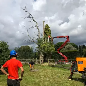 Bild von Boward Tree Surgery (Oxford) Ltd