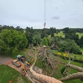Bild von Boward Tree Surgery (Oxford) Ltd