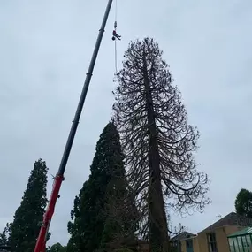 Bild von Boward Tree Surgery (Oxford) Ltd