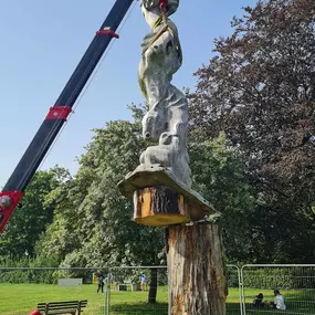 Bild von Boward Tree Surgery (Oxford) Ltd