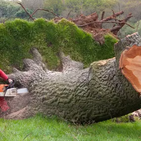 Bild von Boward Tree Surgery (Oxford) Ltd