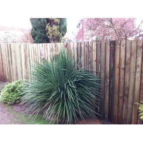 Bild von Paul Lewis Fencing & Landscaping